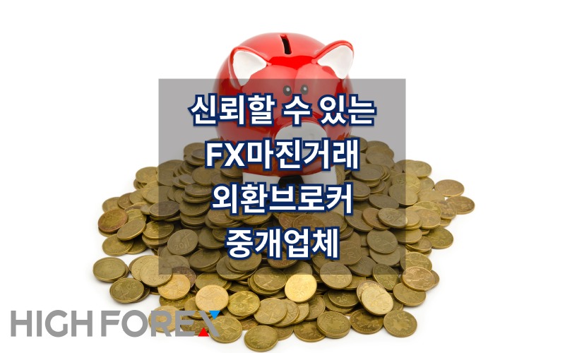 Image-seo-하이포렉스 (4).jpg