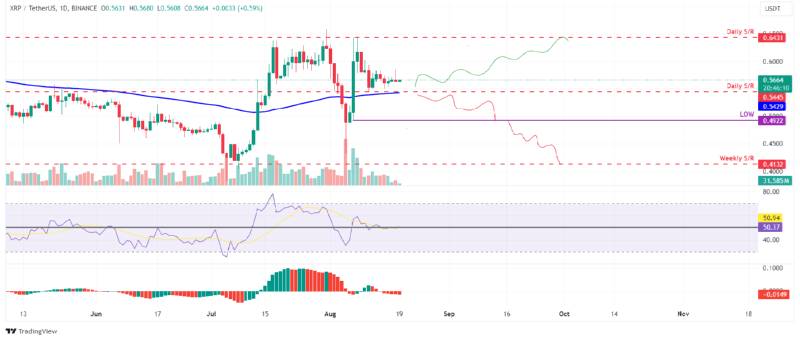 BTCUSD_2024-08-19 03.png