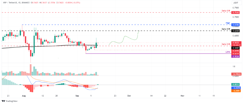 BTCUSD_2024-09-13 03.png