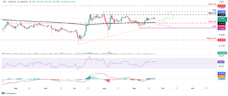 BTCUSD_2024-09-23 03.png