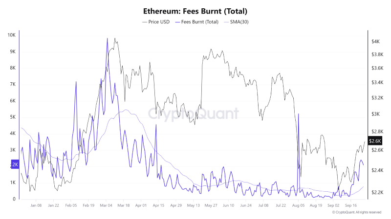 BTCUSD_2024-09-28 02.png