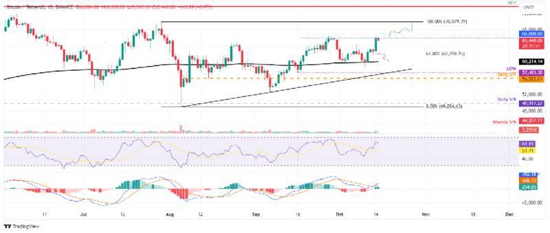 BTCUSD_2024-10-15 01.png