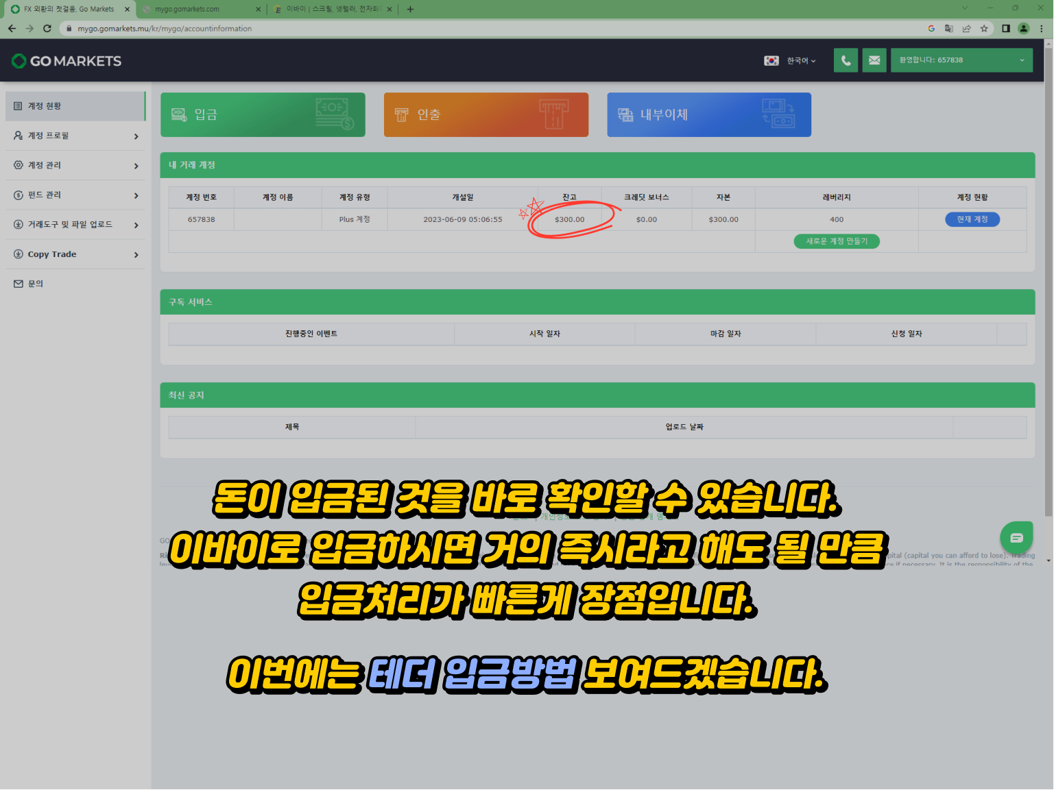 Gomarkets 입금방법 - 이바이를 통한 즉시 입금 확인 및 테더 입금 방법 소개